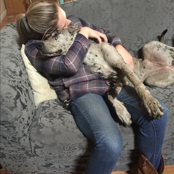 Meet your Posher, Jessica - Picture 5 of 7